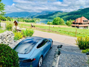 Luxury Mountain Lodge